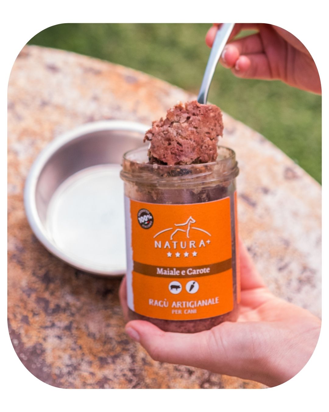 Wet Food for Dogs